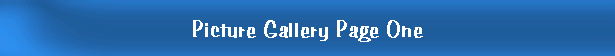 Picture Gallery Page One